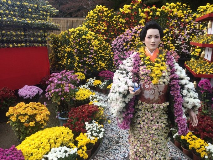 1549852180_360_2-fukushima-tohoku-chrysanthemum-doll-exhibit-132448-1549010562_680x0.jpg