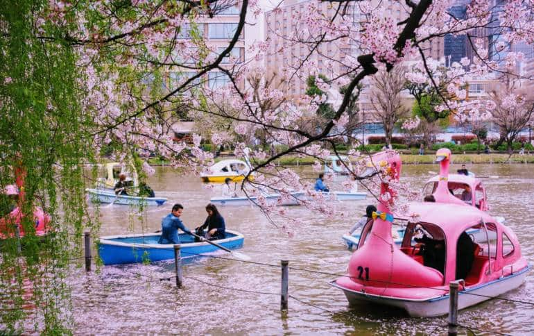 1545212393_108_ueno-park-boats.jpg