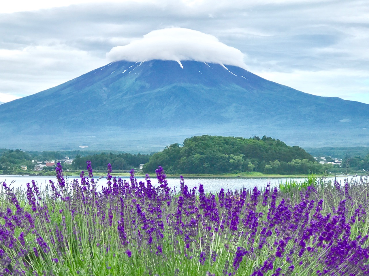 1553247167_9_fuji.jpg