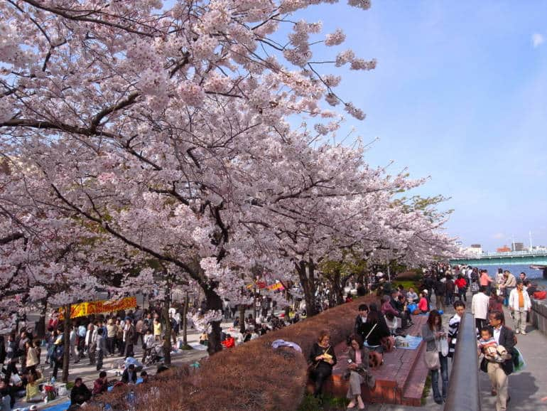 1545212301_899_sumida-festival.jpg