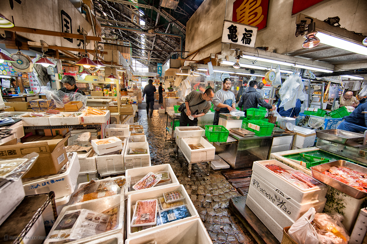 tsukiji-fish-market-1-04042019-144738.jpg